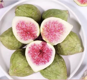 Línea de Frutas Tropicales Liofilizadas Industrialmente Producidas a partir de Mango, Piña, Mangostán, Melocotón y Higo para Procesamiento de Alimentos en Vietnam - Product Image 1