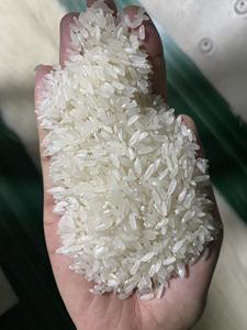 Riz Calrose à grains moyens de grande taille / Riz Camolino à grains moyens - Marque OEM par VILACONIC (Mme Ellen) - Product Image 6