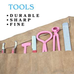 Kit Profesional de Herramientas para Herrador con Cortaúñas para Cascos, Lima para Cascos, Probador de Dolor, Pulidor, Cuchillo para Abcesos, Cuchillo Curvo para Cascos y Cuchillo para Punta de Cascos - Product Image 5