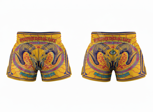 Shorts de Muay Thai en polyester de qualité supérieure pour hommes, satin polyester, combat, kickboxing, entraînement MMA, séchage rapide, shorts d'été par sublimation - Product Image 3