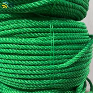 Cuerda de Plástico PE de Alta Calidad, 10 mm x 200 m, Rollo de Polietileno Trenzado, Cuerda para Empaque de Carga, Uso General, Agricultura, Exportación - Product Image 5