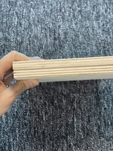 Contreplaqué de bouleau pour meubles de cabinet, noyau en bois dur, colle E0, placage de bouleau double face grade BB, taille 4x8, épaisseur 4x8, feuille de contreplaqué de bouleau - Product Image 3