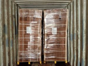 Bloques de turba de coco ecológicos y biodegradables de primera calidad, 5 kg, para agricultura/hidroponía/semilleros, de la India - Product Image 6