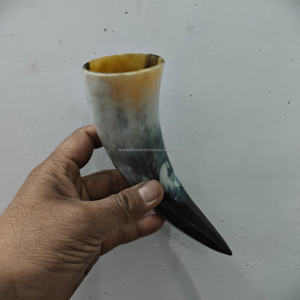 Cuerno para beber OX pequeño de alta calidad 100%, cuerno medieval pulido blanco corto, regalo herencia, al precio más bajo - Product Image 4