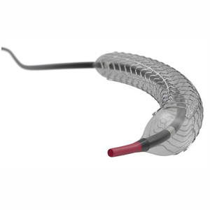 Implant coronaire avancé TER Ultimaster Tansei pour les spécialistes professionnels en cardiologie - Product Image 1