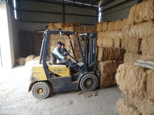 ก้อนใยมะพร้าวที่มีความยาว5-25ซม. พร้อมคุณภาพการส่งออกที่ดี | ส่งออกจากอินเดีย-geewin Exim - Product Image 4