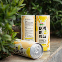 Produit phare NAWON OEM Boisson au thé Kombucha avec saveur de jus d'ananas, de citron et de pêche 250ML en canette Haute qualité Sans sucre ajouté ISO BRC