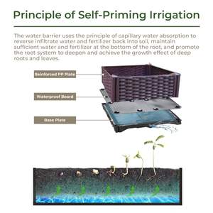 Juego de 4 jardineras de cama de jardín elevadas Cajas de plástico para interiores/exteriores con patas para flores Verduras Frutas y hierbas - Product Image 3