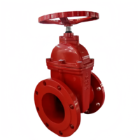 Vanne à opercule à tige non élévatrice en fonte ductile PN16 NRS, DN80 DN100, à bride, personnalisée en usine, pour applications incendie