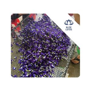 [VENTA EXITOSA] |   Flor de Mariposa para Bebidas Coloridas, Preparación de Té, Ingredientes para Hornear y Decoración de Alimentos, Vietnam - Product Image 1