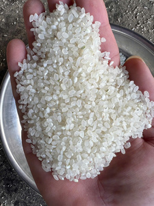 ข้าวญี่ปุ่นออร์แกนิกเมล็ดสั้น 5% ข้าวหัก เวียดนาม อบแห้ง สำหรับทำซูชิ ขายส่งจำนวนมาก - Product Image 2