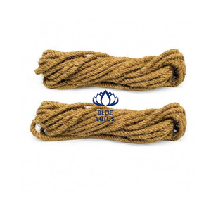 BEST-SELLER Corde en fibre de coco du Vietnam, approvisionnement en gros pour le soutien des plantes, la ligature des arbres, l'emballage et les projets d'artisanat - Product Image 1