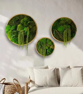 Decorazione Paesaggistica per Interni ed Esterni, Rocce Verdi, Sfere di Muschio Artificiale Fatte a Mano, Muschio Eterno Ecologico Preservato per Pareti - Product Image 1