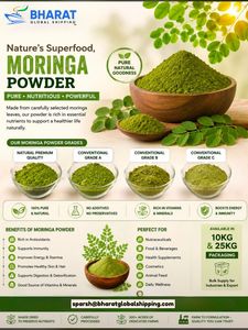 Fournisseur de poudre de feuilles de Moringa biologique d'Inde – Poudre de Moringa Oleifera de qualité supérieure testée en laboratoire pour la vente en gros et l'approvisionnement en vrac - Product Image 1