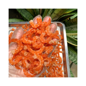 Camarones Secos Naturales de Vietnam al por Mayor, Camarones Pequeños Deshidratados para Comercios Asiáticos y Servicios de Alimentos - Product Image 1