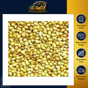 Graines de coriandre entières de qualité supérieure, naturelles et séchées, en vrac, qualité export, pour l'industrie alimentaire et les marques de détail - Product Image 2