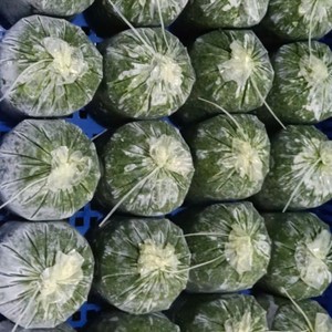 Factory Price Frozen Cassava Leaves Finely Mashed Naturally Preserved Safe Processing Large Volume Orders - Product Image 5