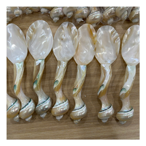 Cuillère en coquillage, accessoire artisanal en coquillage naturel pour la décoration côtière, présentation en magasin et commerce de gros, adapté aux restaurants - Product Image 1