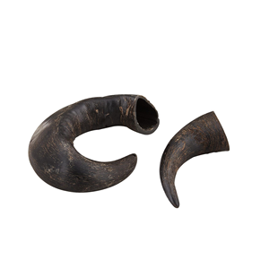 Cuerno de Búfalo para Perros, Cuerno para Masticar, Fábrica de Cuernos en India, Cuerno de la Mejor Calidad con 2 Piezas y Tamaño Personalizado en Oferta - Product Image 1