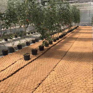 Tapis de paillage en fibre de coco personnalisé OEM, écologique et naturel, pour aménagement paysager de jardin - Fournisseur - Product Image 4