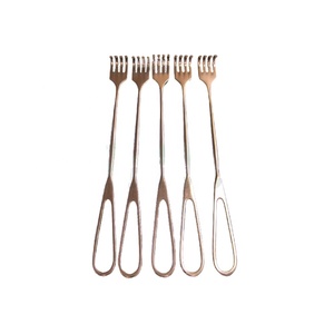 Volkman Retractor color dorado 4 puntas afiladas instrumento quirúrgico Volkman Retractor instrumento ortopédico - Product Image 1