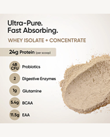 Mélange concentré d'isolat de lactosérum de qualité supérieure, saveur cappuccino, en poudre, pour la transformation des aliments et des boissons