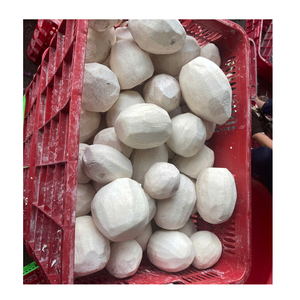 Cubes de racine de taro congelés pour la transformation et la fabrication alimentaires industrielles - Product Image 5