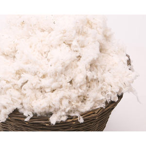 Fibre de coton naturel brut pour la production de fils et le tissage de tissus dans l'industrie textile - Product Image 3