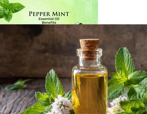 100% Pure Natural Mentha Citrata Essential Oil Fresh <b>Sweet</b> Fragrance Steam Distilled Eco-Friendly India Origin <b>Bulk</b> Packaging - Product Image 2