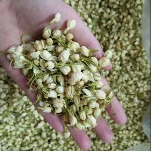 ดอกชาดอกมะลิแห้งแบบธรรมชาติผลิตจากโรงงานในเวียดนาม - Product Image 1