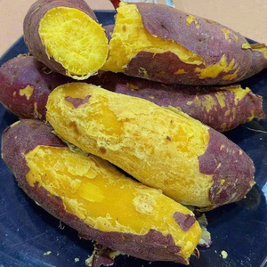 มันเทศแช่แข็งแบบหั่น IQF มันเทศหั่นธรรมชาติ วัตถุดิบธรรมชาติ ขายส่งจำนวนมาก สำหรับการแปรรูปเพื่อการส่งออก - Product Image 1