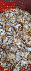 RETAIL VIETNAM Crispy Baby Crab Snack <b>Sweet</b> Spicy Flavor 3.53oz Jar for <b>Beer</b> Snacks Bars Restaurants and Seafood Retailers - Product Image 4