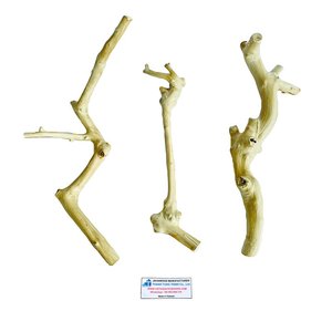 Soporte para Pájaros, Ramas de Madera de Java, Tendencia 2026, Soporte Grande para Pájaros, Madera de Café, Accesorios de Lujo para Mascotas, Proveedor - Product Image 5