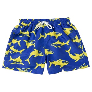 Shorts de Playa para Hombre, Estilo 2026, Talla Adulto, Casuales, de Malla, para Surf y Natación, con Estampado por Sublimación y Decoración de Encaje, Venta al Por Mayor - Product Image 4
