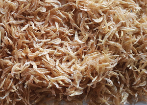 กุ้งแห้งพรีเมียมสำหรับเด็ก - อาหารทะเลโปรตีนสูงสำหรับส่งออก - Product Image 2