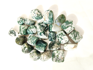 Piedra preciosa suelta de cristal Natural de ágata de árbol caído para curación y Reiki Chakra a granel al por mayor piedra preciosa de ágata de pavo real - Product Image 3