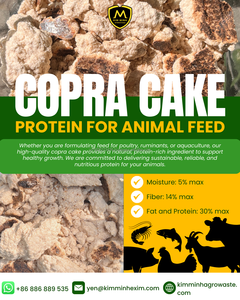 Gâteau de coprah premium du Vietnam pour l'alimentation des bovins et des porcs - Source de protéines de noix de coco 100 % mûres - Product Image 2