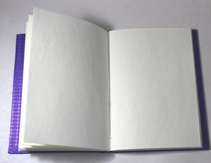 Agenda de Negocios Personalizada, Papel Reciclado Hecho a Mano de Alta Calidad con Cubierta con Relieve Azul Metálico - Product Image 3