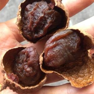 Frutos secos saludables de lichi seco para té 100% fruta fresca orgánica de Vietnam - Product Image 6