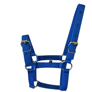 Harnais en cuir pour cheval avec boucles et anneaux métalliques pour usage équestre - Product Image 4