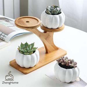 Macetas con Soporte de Bambú, Modernas Macetas de Escritorio para Plantas Verdes - Product Image 1