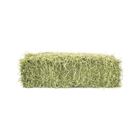 Alfalfa de qualité supérieure, foin naturel de qualité supérieure, alimentation animale en balles, bétail/chevaux/porcs, durée de conservation de 2 ans, vente en gros en vrac
