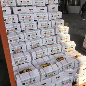 Jengibre Orgánico Fresco, Raíz Natural con Rico Sabor y Aroma, Perfecto para Recetas Culinarias, Preparación de Té y Jugos - Product Image 5