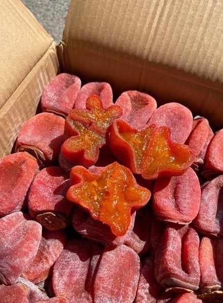 Dried Persimmon | High Quality Dried Fruit 100% Organic From Vietnam