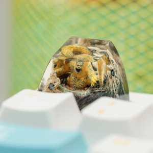 Keycaps Mystiques Anime, Keycaps Artisanaux Personnalisés, Keycaps Anime Mignons, Keycaps Verts, Ensemble de Keycaps, Keycaps en Résine - Product Image 3