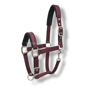 Licol de cheval durable en matériaux de qualité supérieure, ajustement confortable, pour l'équitation, en nylon - Product Image 2