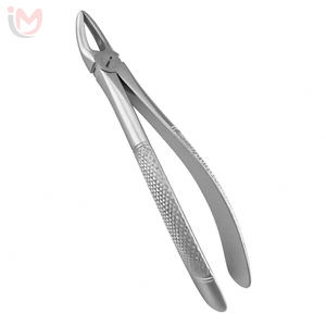 Forceps d'extraction dentaire supérieur antérieur, pinces d'extraction de racine, instrument chirurgical manuel à poignée moletée argentée, Classe I - Product Image 5