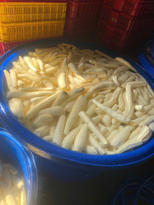 Cassava Congelée Premium du Vietnam, Sans OGM et Culture Conventionnelle, Processus IQF, Emballage Sous Vide pour la Transformation Alimentaire et la Cuisine Traditionnelle - Product Image 3