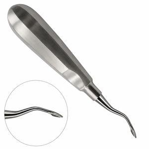 Elevador de Raíces Curvo Grande, Ergonómico, Manual, de Acero Inoxidable, Instrumento Dental para Extracción, Herramienta de Cirugía Oral - Product Image 3