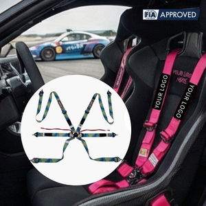TBRACING ULTRA-D OEM ODM Harnais de course automobile 6 points homologué FIA 2 pouces avec boucle Camlock brevetée de Taïwan et système de sangle de maintien - Product Image 2